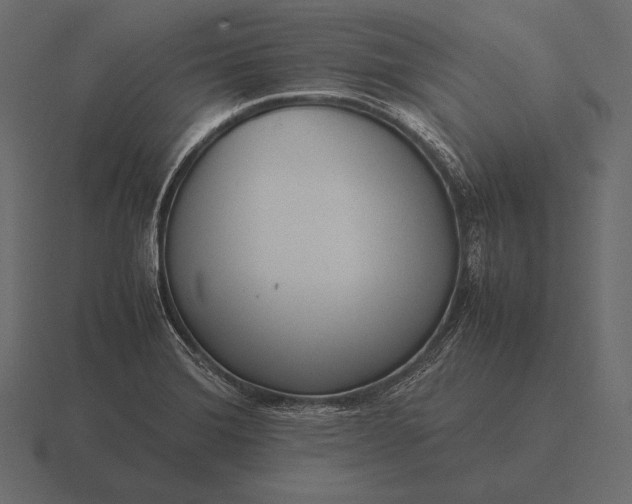 X0000116561372200912241606