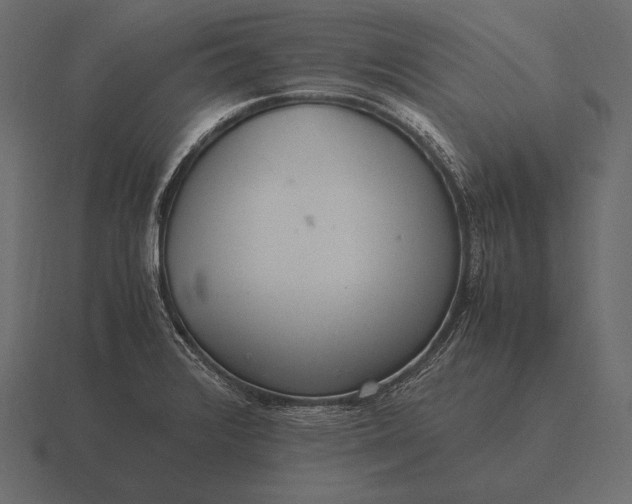 X0000116561376200912241606