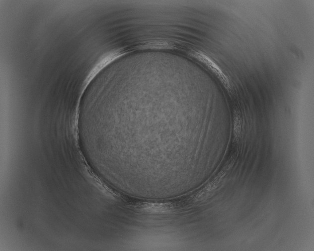 X0000116561378200912241606