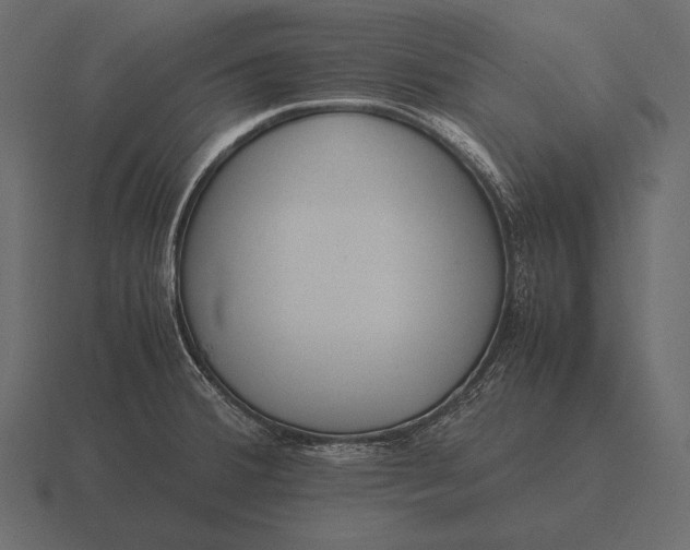 X0000116561380200912241606