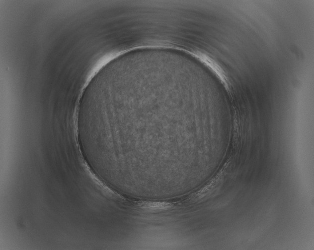 X0000116561382200912241606