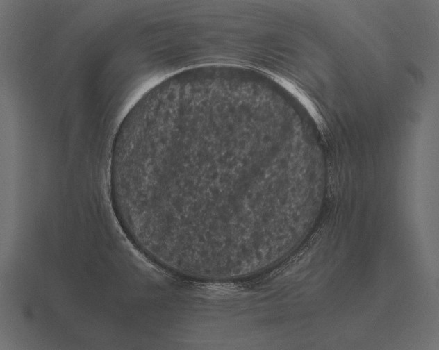 X0000116561383200912241606