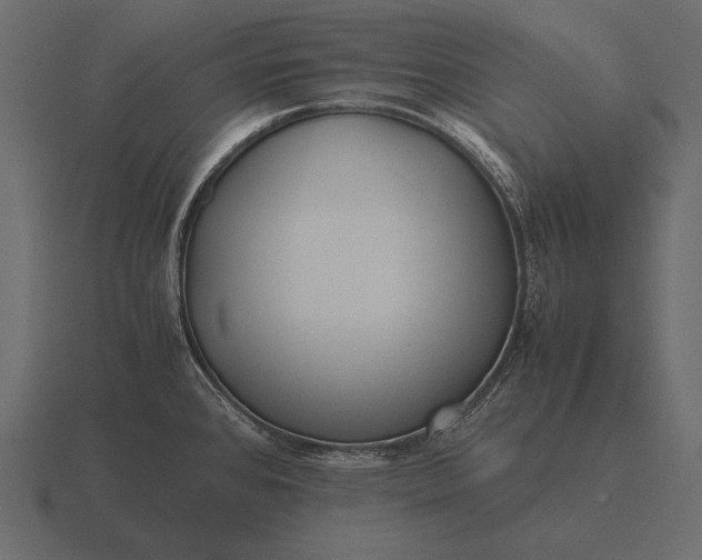 X0000116561384200912241606