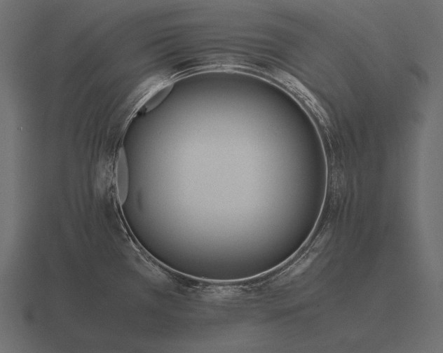 X0000116561385200912241606