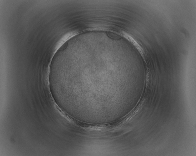 X0000116561386200912241606