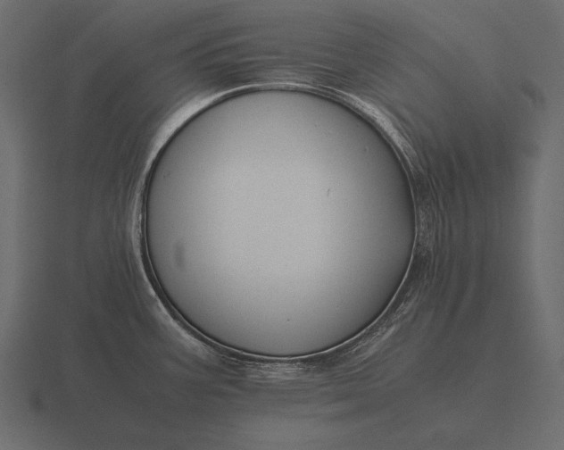 X0000116561387200912241606