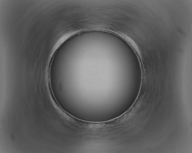 X0000116561389200912241606