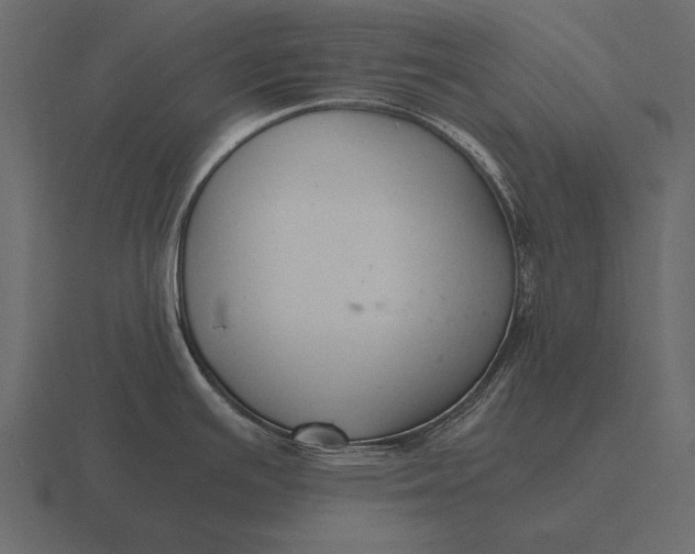 X0000116561391200912241606