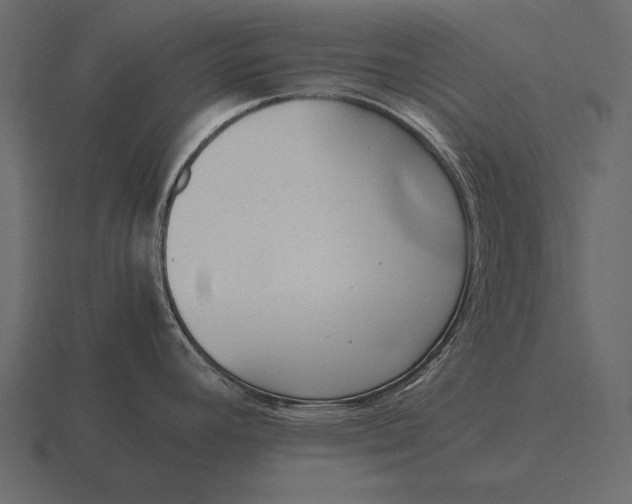 X0000116561392200912241606