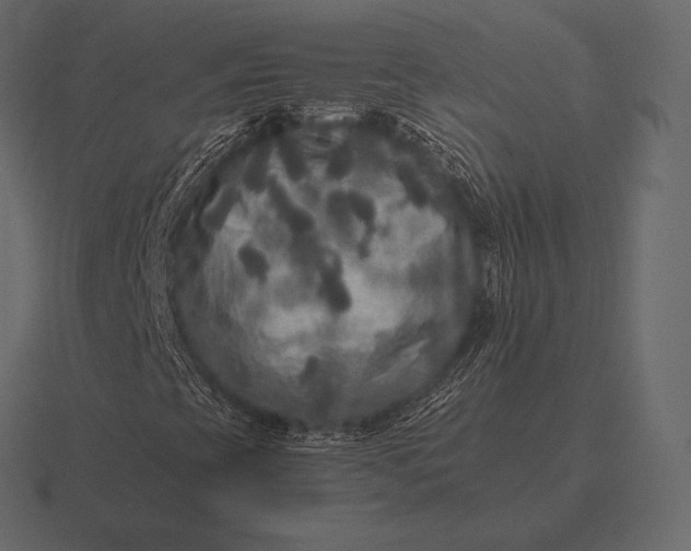 X0000116561393200912241605