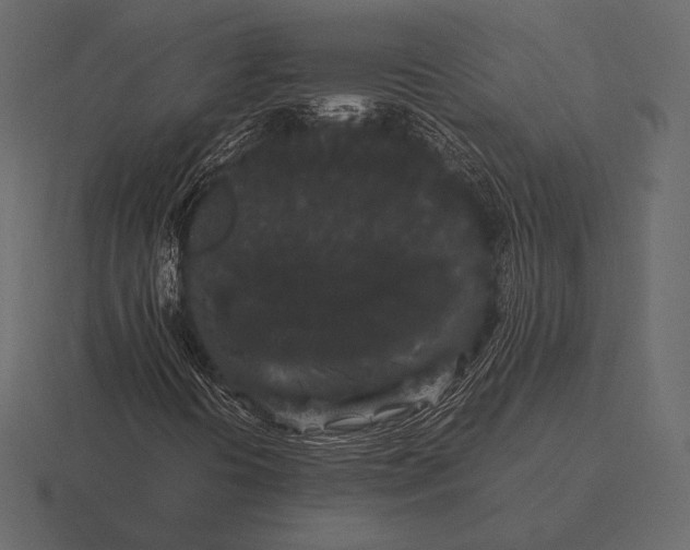 X0000116561394200912241605