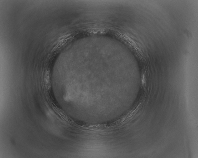 X0000116561396200912241606