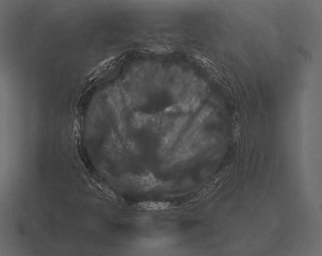 X0000116561397200912241606