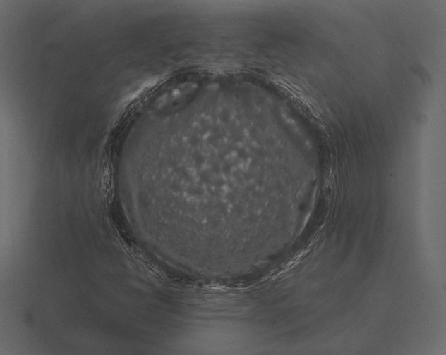 X0000116561398200912241606