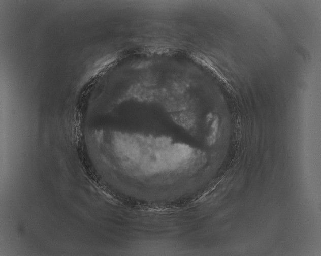 X0000116561399200912241606