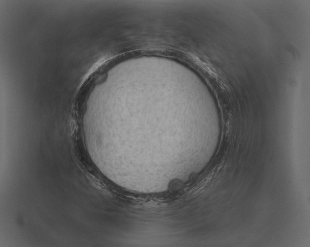 X0000116561400200912241606