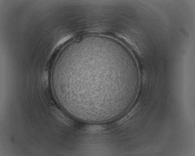 X0000116561402200912241606