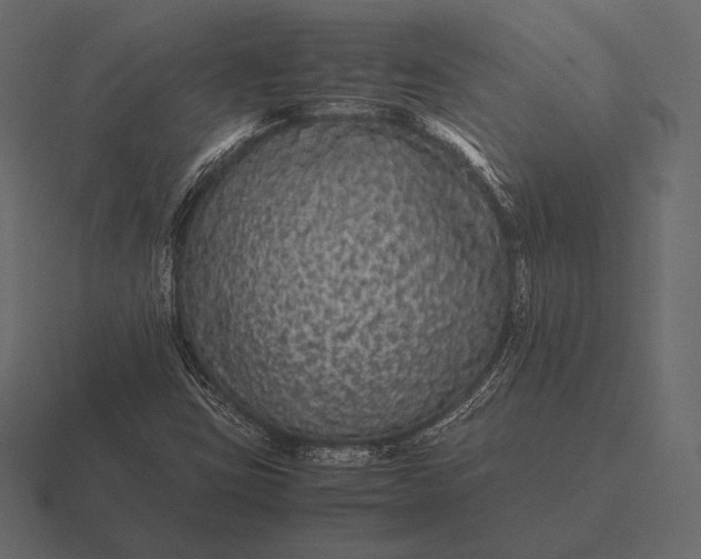 X0000116561403200912241606