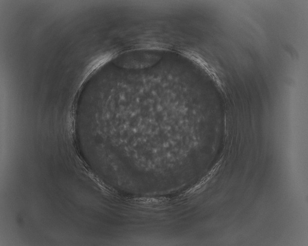 X0000116561405200912241606