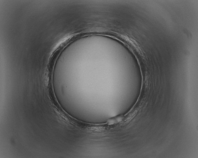 X0000116561406200912241606