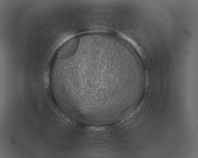 X0000116561407200912241606