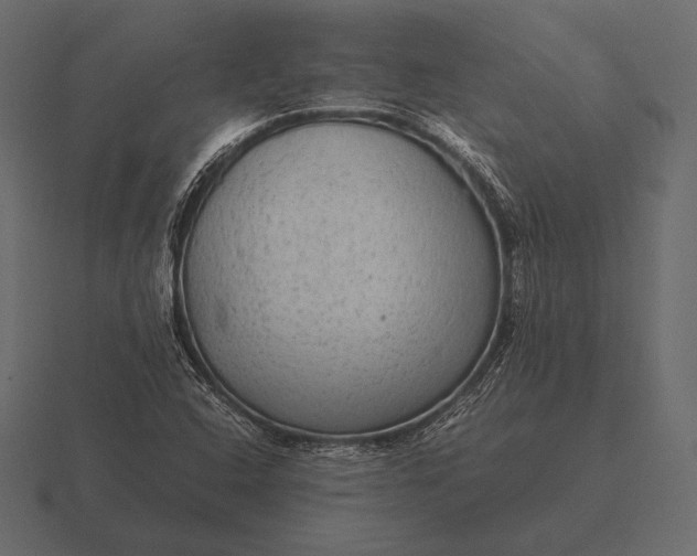 X0000116561408200912241606