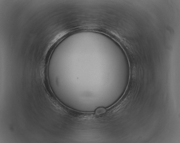 X0000116561410200912241606