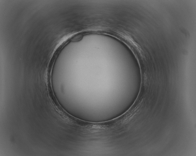 X0000116561412200912241606