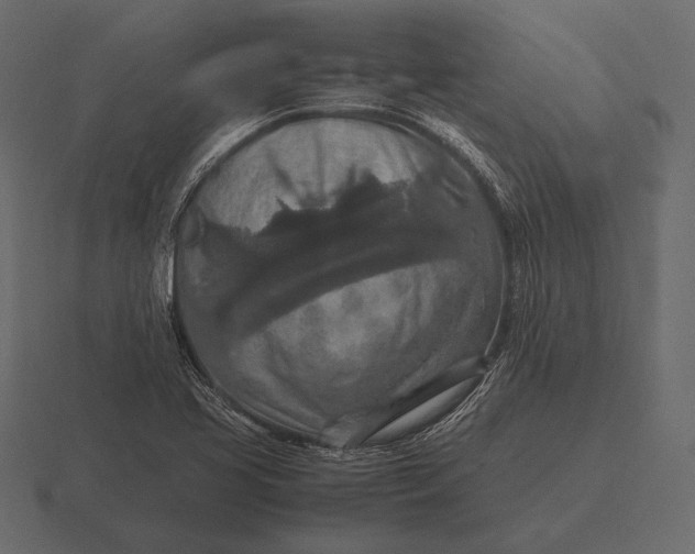 X0000116561413200912241606