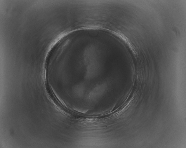 X0000116561414200912241606