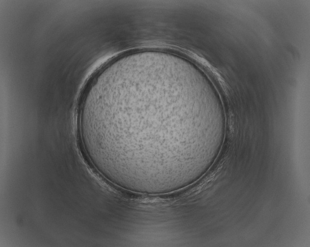 X0000116561416200912241606