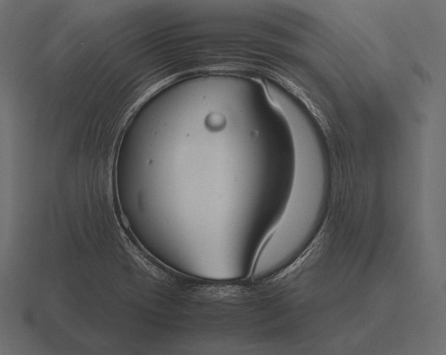 X0000116561417200912241606