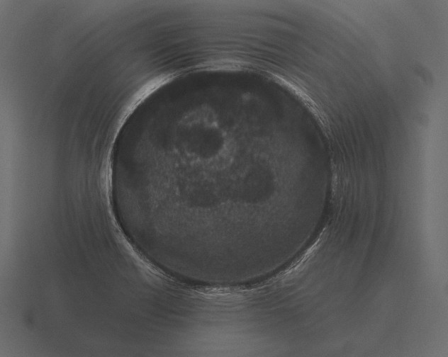 X0000116561418200912241606