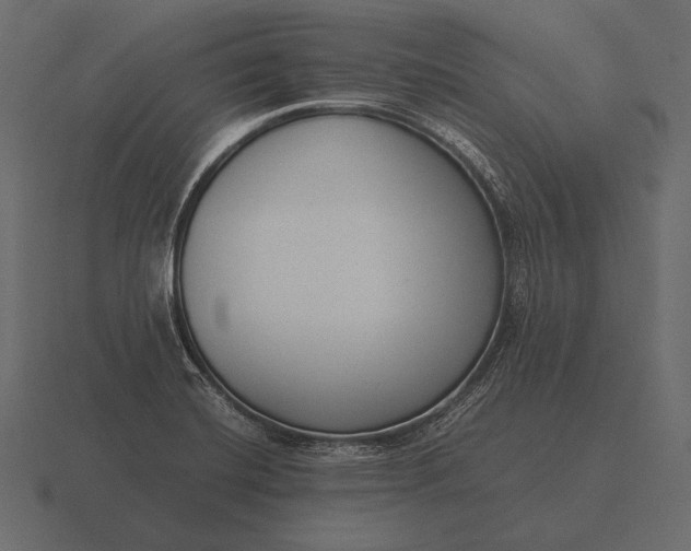 X0000116561420200912241606