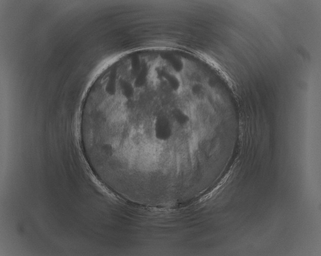 X0000116561421200912241606