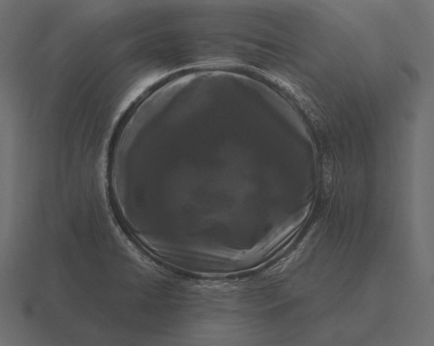 X0000116561422200912241606