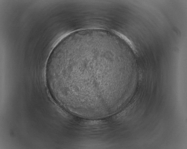 X0000116561423200912241606