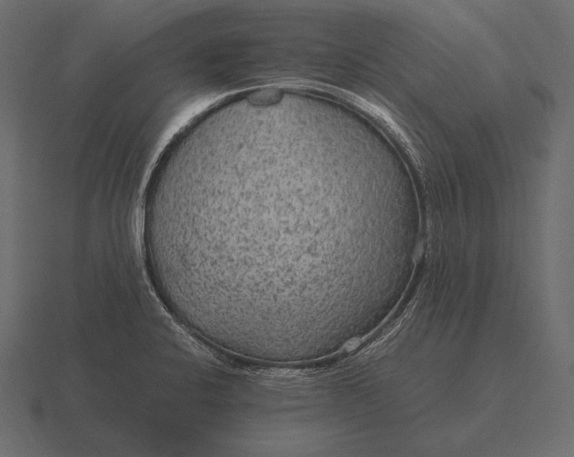 X0000116561424200912241606