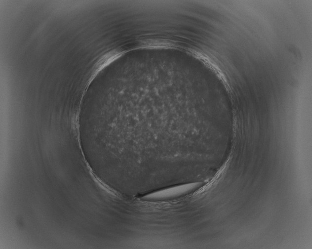 X0000116561425200912241606