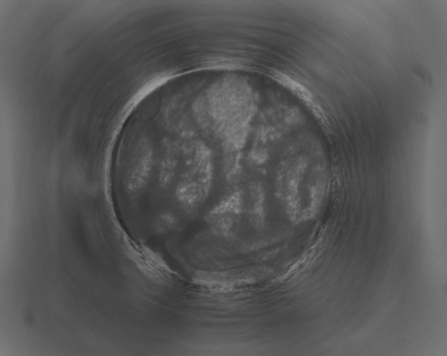 X0000116561427200912241606