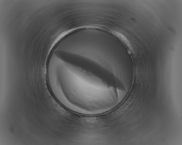 X0000116561428200912241606