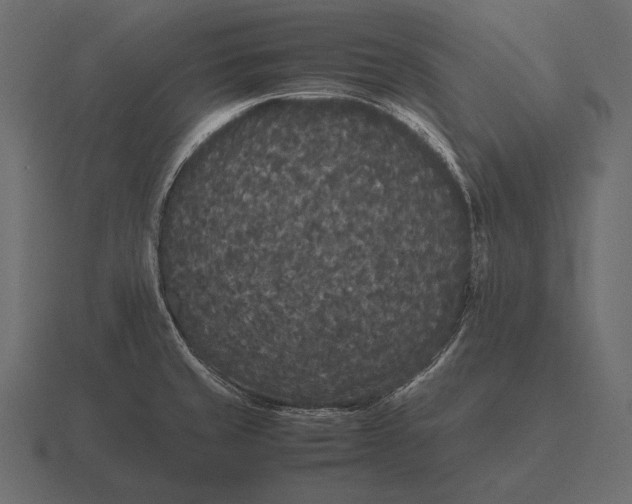 X0000116561429200912241606