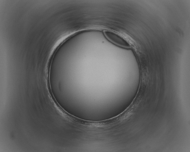 X0000116561430200912241606