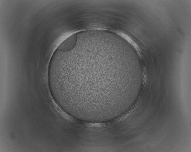 X0000116561431200912241606