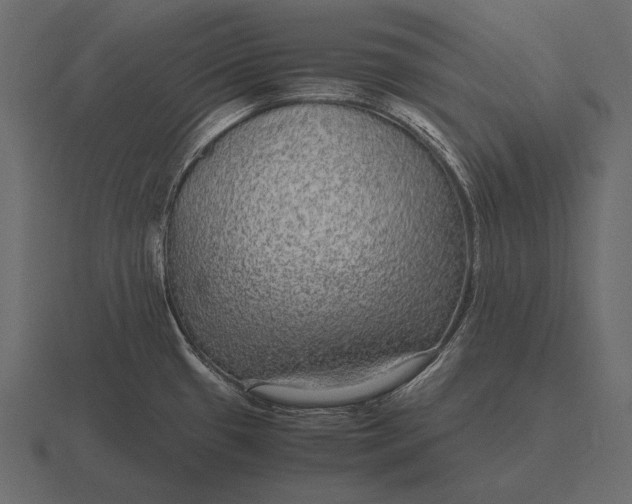 X0000116561433200912241606