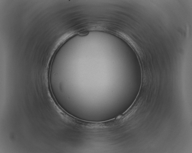 X0000116561434200912241606