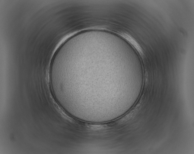 X0000116561436200912241606