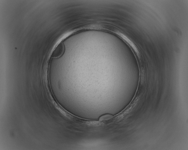 X0000116561437200912241606