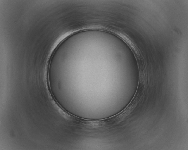 X0000116561438200912241606