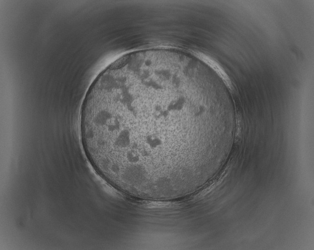 X0000116561439200912241606